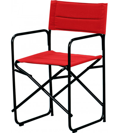 SILLON DIRECTOR-270 ACERO HEVEA